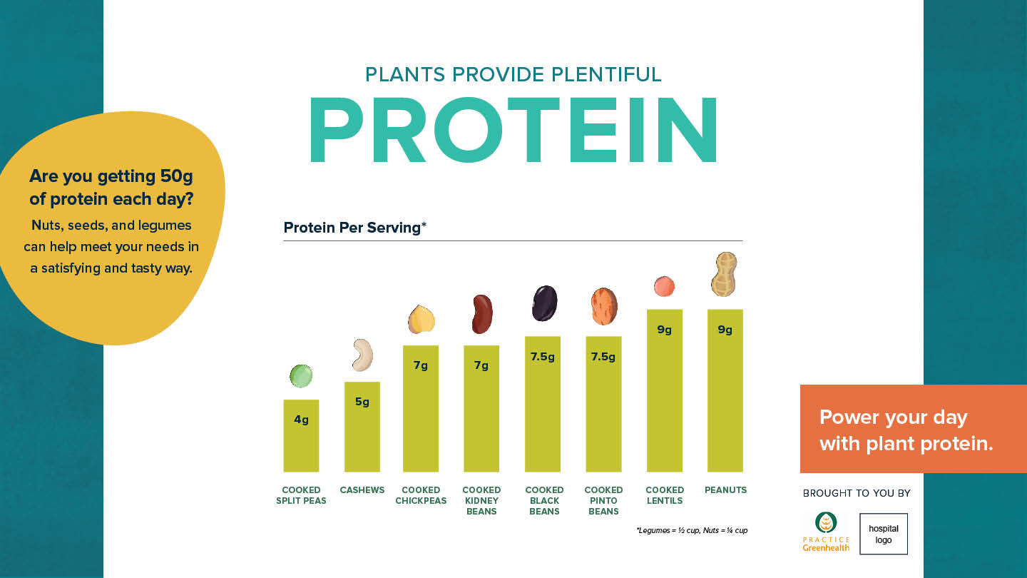 Plant protein power infographics (Practice Greenhealth) Practice